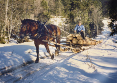 Holz schläike mid Ross (Holz rücken mit Pferden)