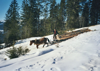 Holz schläike mid Ross (Holz rücken mit Pferden)