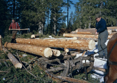 Holz schläike mid Ross (Holz rücken mit Pferden)