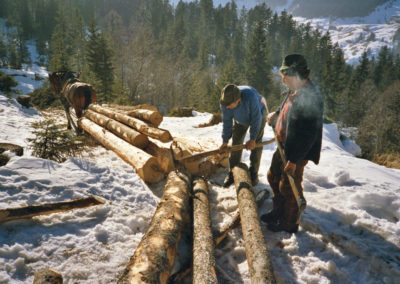Holz schläike mid Ross (Holz rücken mit Pferden)