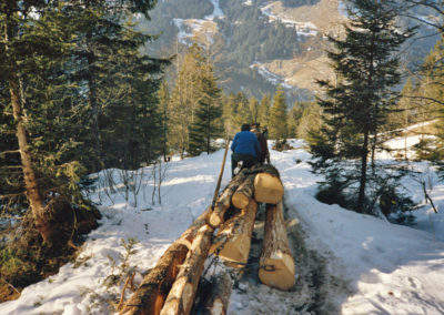 Holz schläike mid Ross (Holz rücken mit Pferden)