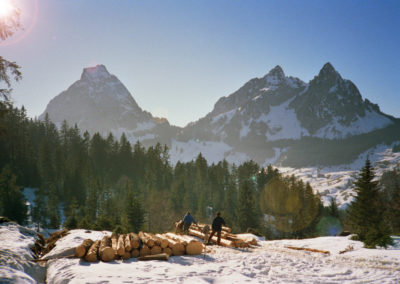 Holz schläike mid Ross (Holz rücken mit Pferden)