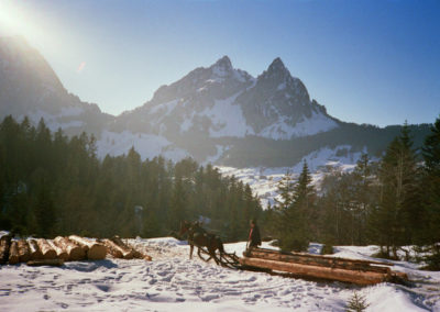 Holz schläike mid Ross (Holz rücken mit Pferden)
